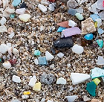Microplastics Found in Human Brains: Calls for Global Action